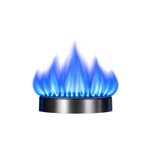 Gas Burners Exporters